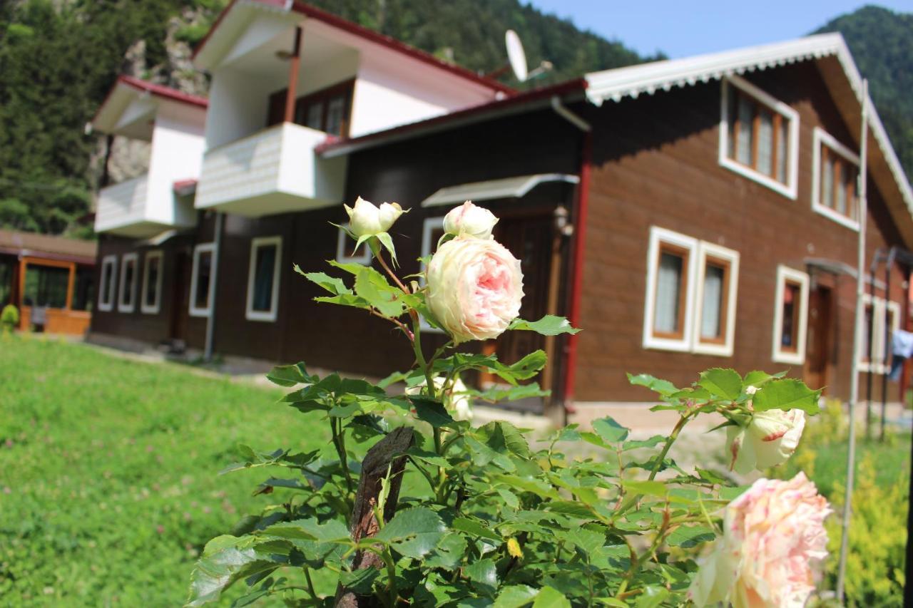 Uzungol Selale Otel Bungalow Eksteriør bilde