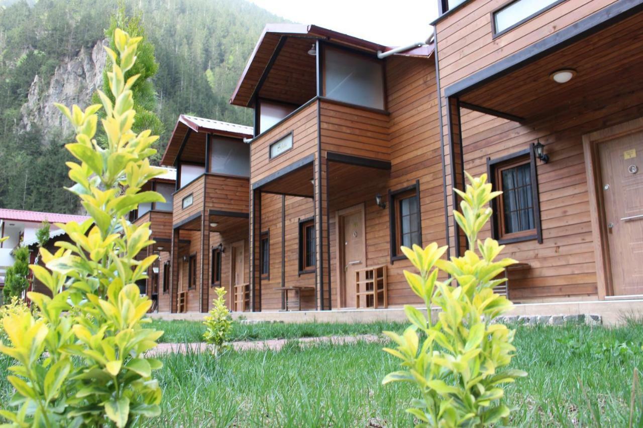 Uzungol Selale Otel Bungalow Eksteriør bilde
