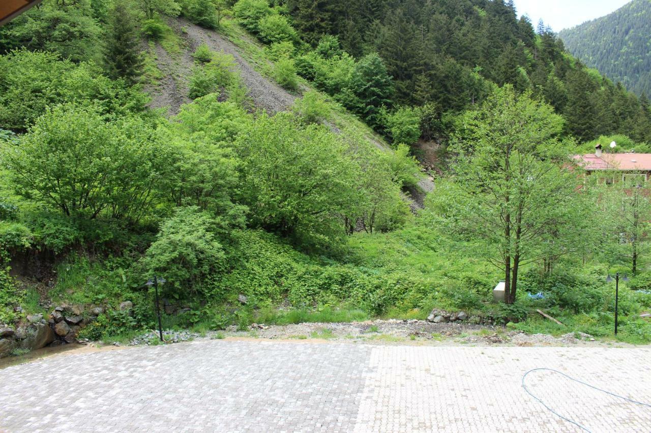 Uzungol Selale Otel Bungalow Eksteriør bilde